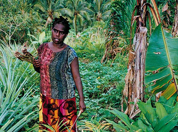 Agnes, a community-based agricultural trainer on Bougainville, in her bush garden. The productivity and diversity of bush gardens is critical to the nutritional health of Melanesians who continue to follow a village-based lifestyle
