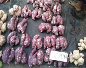 sweet potato