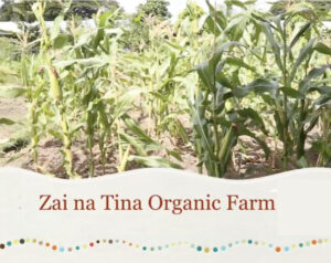 Zai na Tina Organic Farm, Solomon Islands