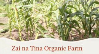 Zai na Tina Organic Farm, Solomon Islands