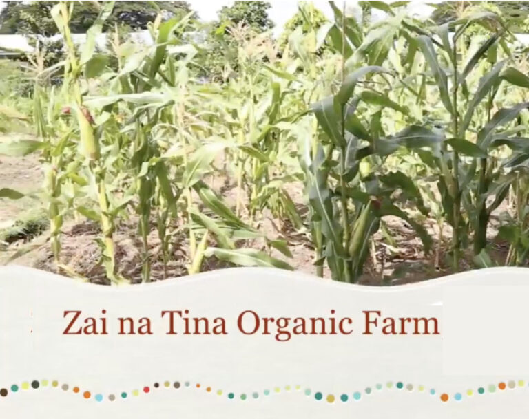 Zai na Tina Organic Farm, Solomon Islands