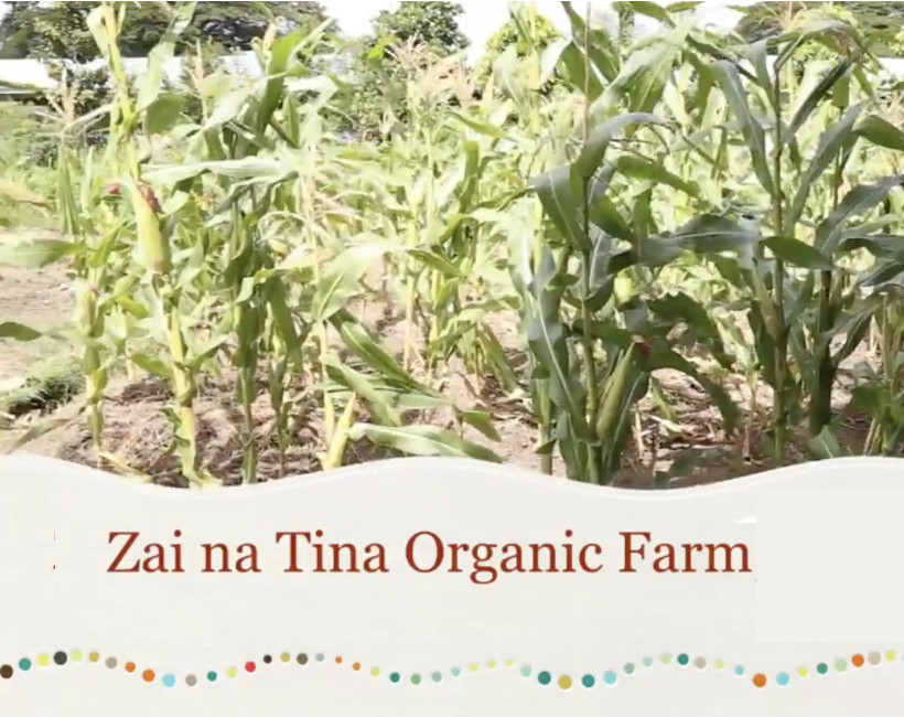 Zai na Tina Organic Farm, Solomon Islands