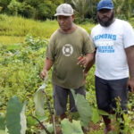 Taro Video by KGA