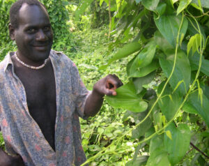 Agroforestry feature