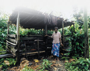 pig farming