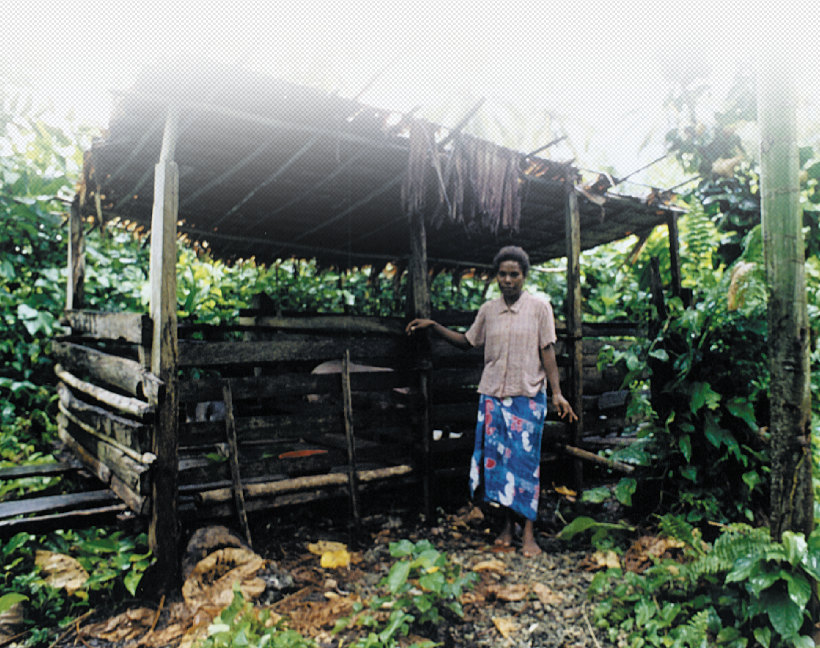 pig farming