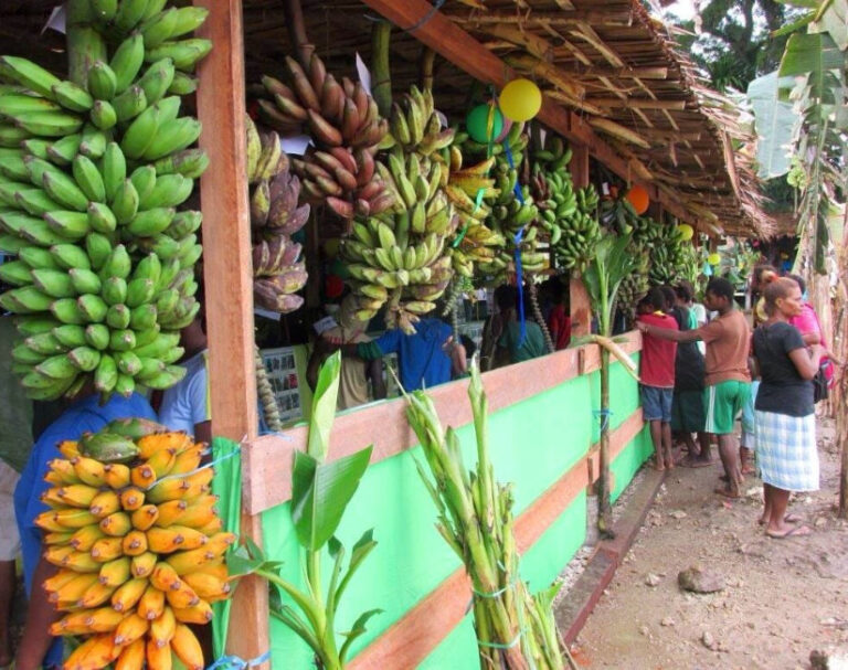 Banana diversity