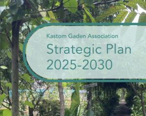 KGA strategic plan