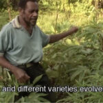 seed saving video