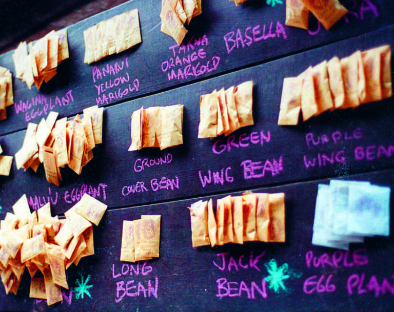 Seed packets