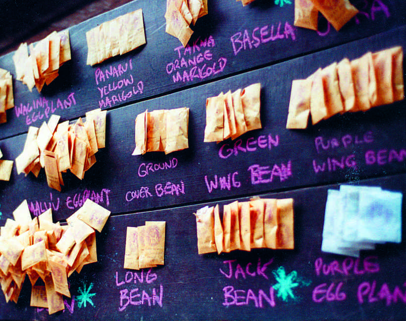 Seed packets