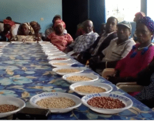 Seed saving Gambia and Senegal