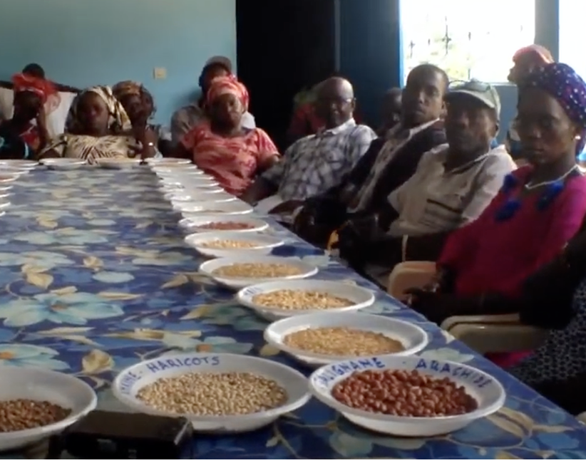 Seed saving Gambia and Senegal