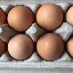 eggs