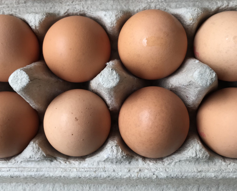 eggs