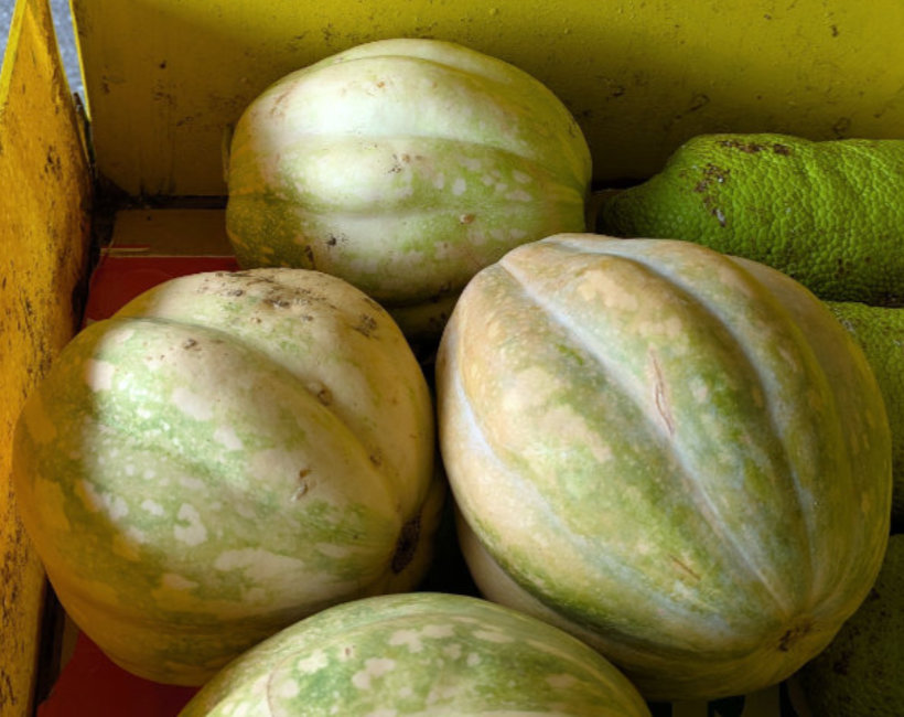 Pumpkin