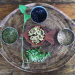 Sprouts