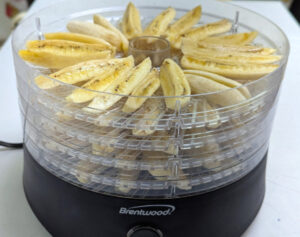 banana-dehydrator