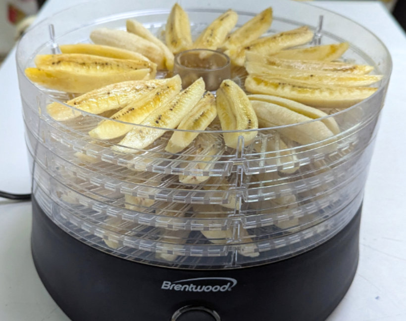 banana-dehydrator