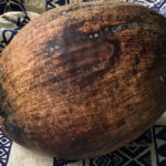Coconut