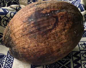 Coconut