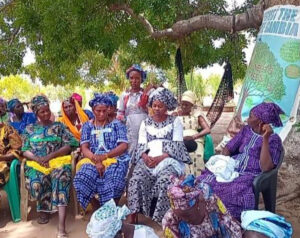 Gambia Environmental Heroes