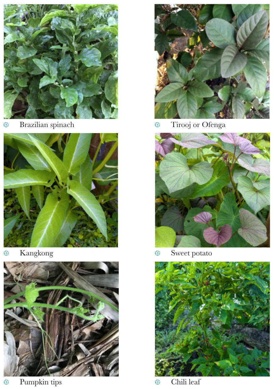 Leafy-greens-2