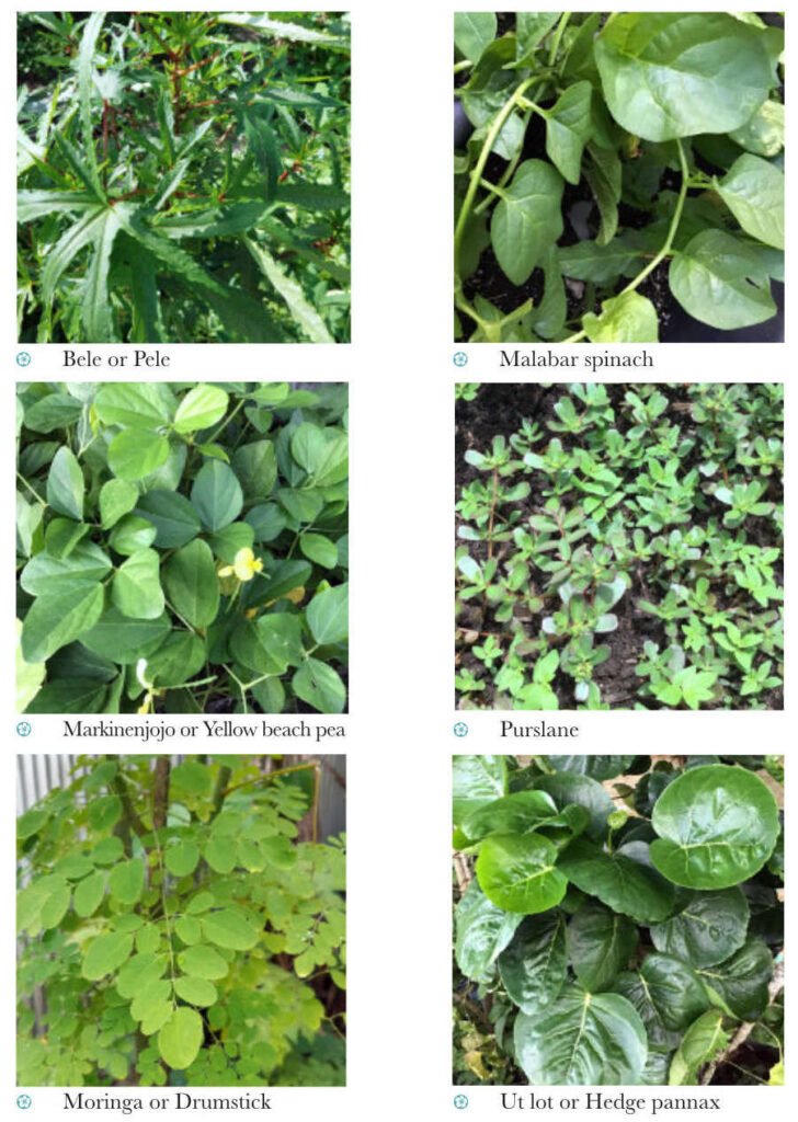 Leafy-greens-4