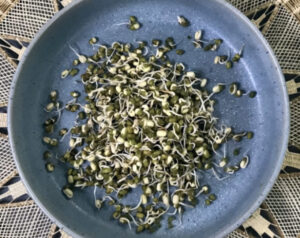 Mung beans