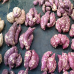sweet potato