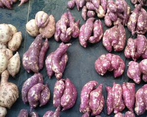 sweet potato