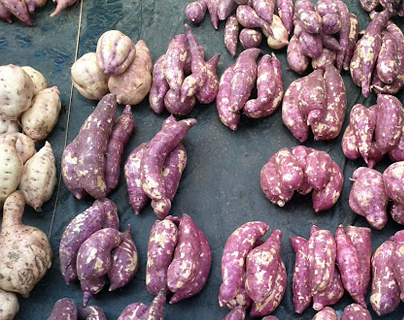 sweet potato