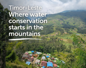 Permaculture Global image from World Oceans Day